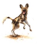  2017 3_toes african_wild_dog ambiguous_gender black_nose canine claws feral hyena kenket mammal one_eye_closed open_mouth simple_background solo teeth toe_claws toes tongue tongue_out white_background 