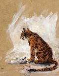  2013 feline feral fur kenket mammal solo striped_fur striped_tail stripes tiger whiskers 