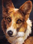  2013 black_nose brown_fur canine dog feral fur kenket mammal solo whiskers white_fur yellow_eyes 