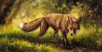 2014 black_nose canine claws feral fox grass kenket mammal outside solo toe_claws toes whiskers yellow_eyes 