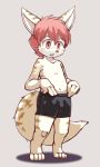  2017 4_fingers 4_toes anthro barefoot biped black_nose blush brown_fur bulge canine clothed clothing cub digitigrade fennec fluffy fluffy_tail fox fur fur_markings grey_background hair looking_down male mammal markings multicolored_fur navel null_(nefariousnull) open_mouth pink_eyes pink_hair shorts simple_background solo standing sweat sweatdrop toes topless two_tone_fur white_fur yojoo young 