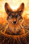  2015 ambiguous_gender black_nose canine coyote feral fur kenket looking_at_viewer mammal solo traditional_media_(artwork) 