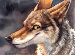  2014 ambiguous_gender black_nose canine coyote fur kenket looking_at_viewer mammal smile solo traditional_media_(artwork) yellow_eyes 