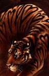  2007 feline feral fur kenket mammal pink_nose solo striped_fur stripes tiger traditional_media_(artwork) whiskers 