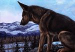  2014 ambiguous_gender black_nose canine dog feral kenket mammal mountain sky solo traditional_media_(artwork) tree 