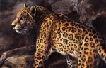  2013 ambiguous_gender black_nose feline feral fur kenket leopard mammal solo spots spotted_fur traditional_media_(artwork) whiskers yellow_eyes 
