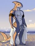  abs anthro beach bgn black_eyes facial_hair fish grey_skin humanoid_penis looking_at_viewer male marine multi_penis muscular muscular_male nipples nude penis rex_(bgn) seaside shark solo towel water 