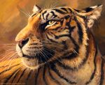  2014 feline feral fur kenket mammal pink_nose solo striped_fur stripes tiger whiskers yellow_eyes 