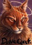  2007 ambiguous_gender cat feline fur kenket looking_at_viewer mammal orange_fur pink_nose solo traditional_media_(artwork) whiskers 