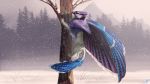  2018 ambiguous_gender avian bird blue_feathers day digital_media_(artwork) dracarian duo feathered_wings feathers feral fur gryphon outside purple_fur robin snow snowing tree wings 