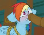  boop bound equine female friendship_is_magic lasso male male/female mammal marsminer my_little_pony pegasus penis rainbow_dash_(mlp) rope wings 