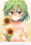  2018 areolae august beige_background blush breasts calendar_(medium) clenched_hand collarbone commentary_request covering covering_breasts eyebrows_visible_through_hair flower gradient gradient_background green_hair hair_between_eyes hand_on_own_chest hand_up highres holding kazami_yuuka large_breasts leaf looking_at_viewer maturiuta_sorato nude petals red_eyes shiny shiny_skin short_hair solo sunflower touhou upper_body 