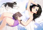  bare_legs barefoot black_hair blue_eyes blush book boyshorts closed_mouth commentary_request dog feet_out_of_frame hand_in_hair holding holding_book husky klasse14 long_hair looking_at_viewer lying on_back open_book original pillow shirt smile solo treeware watch white_shirt wristwatch 