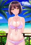 arm_behind_back beach bikini black_hair blue_sky blush breasts cleavage closed_mouth cloud collarbone commentary_request cowboy_shot day fence highres idolmaster idolmaster_cinderella_girls jewelry looking_at_viewer navel necklace ocean outdoors palm_tree pink_bikini short_hair sky smile solo swimsuit takafuji_kako thighs tokita_arumi tree yellow_eyes 