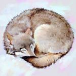  animal_focus arctic_fox commentary curled_up ilya_kuvshinov no_humans original simple_background sleeping solo swedish_commentary white_background 