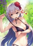  akanebi alternate_costume arm_across_chest armpits azur_lane bangle bangs bare_shoulders bikini bikini_in_mouth bikini_tug blue_eyes blush bracelet breasts choker cleavage closed_mouth collarbone commentary_request day eyebrows_visible_through_hair flower groin hair_flower hair_ornament highres jewelry large_breasts long_hair looking_at_viewer mole mole_under_eye mouth_hold nail_polish navel outdoors red_nails revision shoukaku_(azur_lane) side-tie_bikini sidelocks silver_hair skindentation smile solo stomach swimsuit tree untied untied_bikini wet 