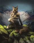  2010 alectorfencer anthro belgian_shepherd breasts canine claws covering covering_breasts detailed_background dog female looking_at_viewer mammal mountain nature nimrais_(character) nipples nude outside rock scenic shy sitting sky solo tree wind wolf wood yellow_eyes 