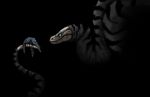  2014 avian bird black_background black_feathers blue_eyes digital_media_(artwork) duo feathered_wings feathers feral reptile scalie shwonky simple_background snake wings 