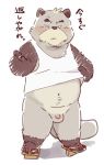  2017 anthro balls belly blush canine clothing flaccid footwear garouzuki humanoid_hands japanese_text male mammal navel overweight overweight_male penis sandals shirt simple_background solo tanuki text white_background 