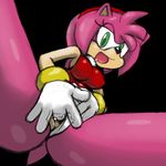  amy_rose seikoseeley sonic_team tagme 