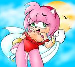  amy_rose drs sonic_team tagme 