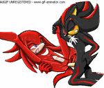  animated knuckles_the_echidna sega shadow_the_hedgehog sonic_team spacefoxy 