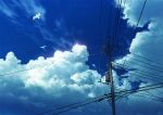  bird blue_sky cloud commentary_request day mocha_(cotton) no_humans original outdoors power_lines scenery seagull sky summer telephone_pole 