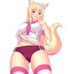  absurdres animal_ears ass_visible_through_thighs bangs blonde_hair blush breasts buruma cameltoe cat_ears commentary cowboy_shot fast-runner-2024 finger_to_mouth fox_tail frilled_hairband frills hairband highres large_breasts long_hair looking_at_viewer navel nose_blush open_mouth original pink_legwear pink_neckwear red_buruma red_eyes school_uniform serafuku shiny shiny_skin shirt shirt_lift short_sleeves simple_background slit_pupils standing striped striped_legwear tail teeth tiffy white_background white_legwear white_shirt 