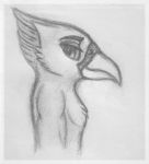  2018 anthro athletic avian bedroom_eyes biped bird feathers fluffy half-closed_eyes head_tuft hi_res looking_at_viewer male monochrome muscular portrait seductive side_view simple_background solo standing traditional_media_(artwork)chest victorbessa96 white_background 
