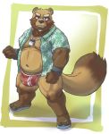  2018 belly blush brown_fur bulge canine clothed clothing fur male mammal navel ojijinotete open_shirt overweight solo tanuki underwear 