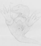  ambiguous_gender animal_genitalia claws cloaca compsognathus dialogue dinosaur feathers feet humor male nervous pencil_(artwork) penis size_difference smaller_male theropod traditional_media_(artwork) tyrannosaurus_rex 