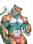 anthro bulge clothing feline kemono male mammal muscular muscular_male nipples nude pecs solo speedo swimsuit tiger tiggon_the_great 
