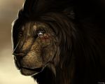  2015 black_lips brown_eyes brown_fur brown_hair digital_media_(artwork) feline feral fur hair lion looking_at_viewer male mammal scar shwonky solo tan_fur 