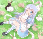  angora_rabbit animal animal_ears anko_(gochiusa) araki495 blue_bow blue_eyes blue_hair bow bunny bunny_ears gochuumon_wa_usagi_desu_ka? hair_ornament kafuu_chino light_blue_hair one_eye_closed striped striped_legwear tippy_(gochiusa) x_hair_ornament 