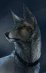  2015 black_lips blue_eyes canine collar digital_media_(artwork) dog feral fur mammal shwonky simple_background solo tan_fur white_fur 