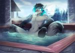  anthro canine featureless_crotch fox fur hair kammi-lu male mammal nude partially_submerged sitting solo spread_legs spreading 