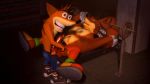  3d_(artwork) anal anal_penetration animated anthro anthro_on_anthro bandicoot belt clothing crash_bandicoot crash_bandicoot_(series) crunch digital_media_(artwork) duo erection footwear green_eyes grin half-closed_eyes looking_at_viewer lying male male/male mammal marsupial muscular nude on_back penetration penis sex shoes shorts size_difference smile spread_legs spreading video_games weights woah 