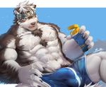  anthro bulge canine clothed clothing headband male mammal muscular muscular_male navel open_mouth rabbity solo sunscreen tight_clothing topless 