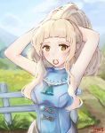  arms_up artist_name blonde_hair blue_dress blue_sky brown_eyes clair_(fire_emblem) cloud commentary day dress fence fire_emblem fire_emblem_echoes:_mou_hitori_no_eiyuuou highres ippers long_hair ponytail sky solo 