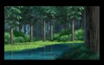  black_border border bush day foliage forest grass nature no_humans outdoors river scenery touhou tree water 