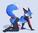  anal beads canine fox male mammal mej sonicfox 