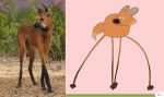  ambiguous_gender animated brown_fur canine cheek_tuft dipstick_tail feral fur happy inner_ear_fluff keke long_legs mammal maned_wolf markings multicolored_tail photography_(artwork) quadruped real socks_(marking) toony tuft walking 