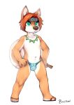  bastion blue_eyes brown_fur brown_hair brown_nose canine clothing dog footwear fundoshi fur hair hands_on_hip headband japanese_clothing jewelry male mammal navel necklace sandals shiba_inu solo standing underwear white_fur young 
