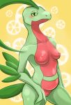  anthro breasts countershading female freelime grovyle lemon looking_at_viewer nintendo nipples nude plant pok&eacute;mon pok&eacute;mon_(species) pussy simple_background smile solo standing video_games yellow_sclera 