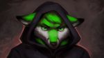  anthro canine clothed clothing fox fur hair hood keumano looking_at_viewer male mammal simple_background solo 