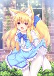  animal_ear_fluff animal_ears blonde_hair blue_dress brown_eyes commentary_request day dress dress_lift fang fox_ears fox_tail highres lifted_by_self long_hair open_mouth original outdoors panties panties_under_pantyhose pantyhose ribbon roshin smile solo tail thigh_gap underwear white_legwear white_panties 