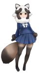  animal_ears black_gloves black_hair blue_serafuku blue_skirt brown_eyes eyebrows_visible_through_hair full_body fur-trimmed_sleeves fur_collar fur_trim gloves ise_(0425) kemono_friends long_sleeves looking_at_viewer multicolored_hair pantyhose pleated_skirt raccoon_ears raccoon_tail short_hair simple_background skirt solo tail tanuki_(kemono_friends) white_background white_hair 