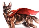  2014 ambiguous_gender black_nose canine cape clothing dog feral kenket looking_at_viewer mammal simple_background solo traditional_media_(artwork) white_background 
