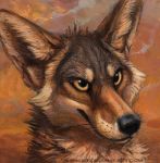  2014 ambiguous_gender black_nose canine coyote feral kenket mammal solo traditional_media_(artwork) whiskers 