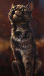  2017 ambiguous_gender cat feline feral fur kenket mammal solo traditional_media_(artwork) whiskers 